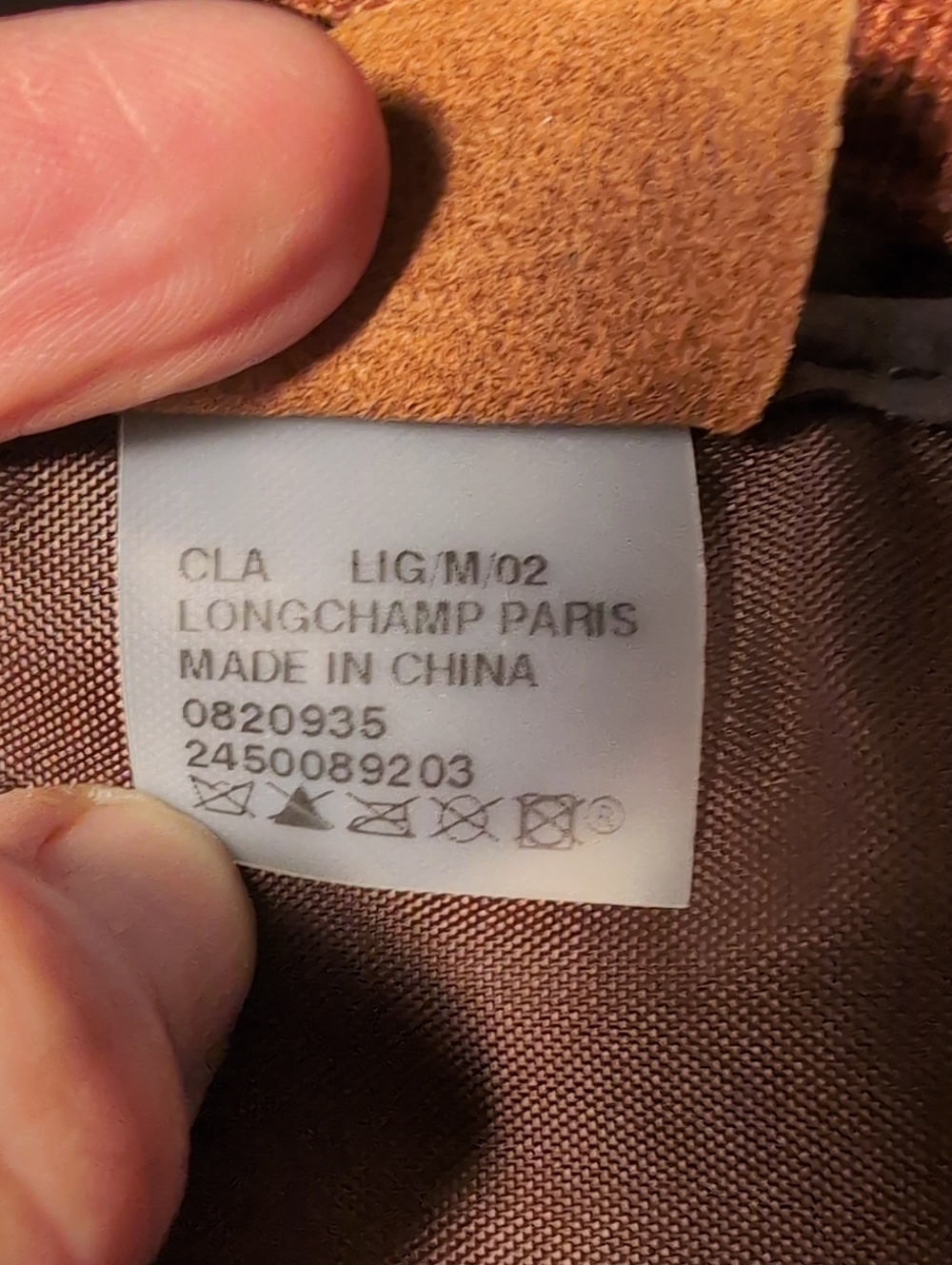 Longchamp Hobo Bag - Picture 13 of 14